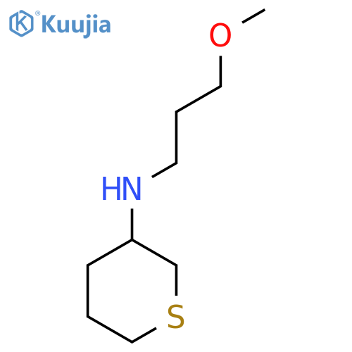 N-(3-methoxypropyl)thian-3-amine structure