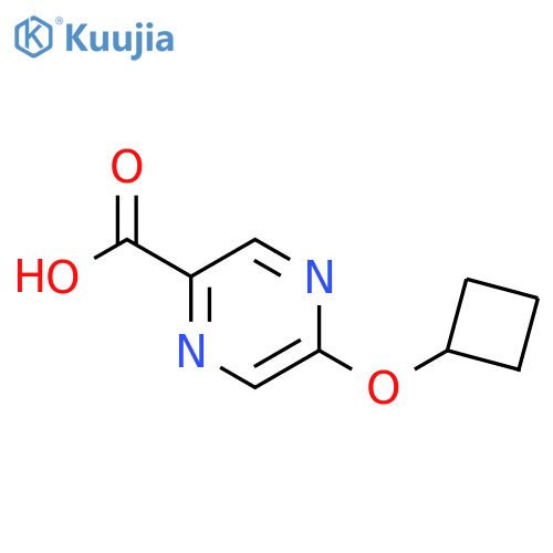 5-Cyclobutoxypyrazine-2-carboxylic acid structure