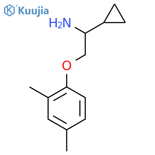 1-cyclopropyl-2-(2,4-dimethylphenoxy)ethylamine structure