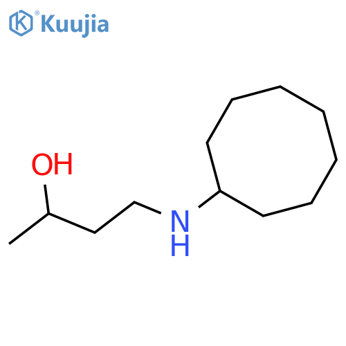 4-(cyclooctylamino)butan-2-ol structure