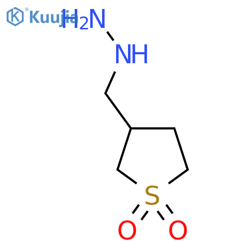3-(Hydrazinylmethyl)tetrahydrothiophene 1,1-dioxide structure