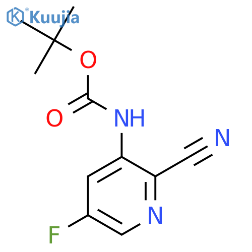 2-Cyano-5-fluoro-nicotinic acid tert-butyl ester structure