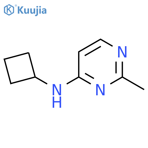 N-cyclobutyl-2-methylpyrimidin-4-amine structure