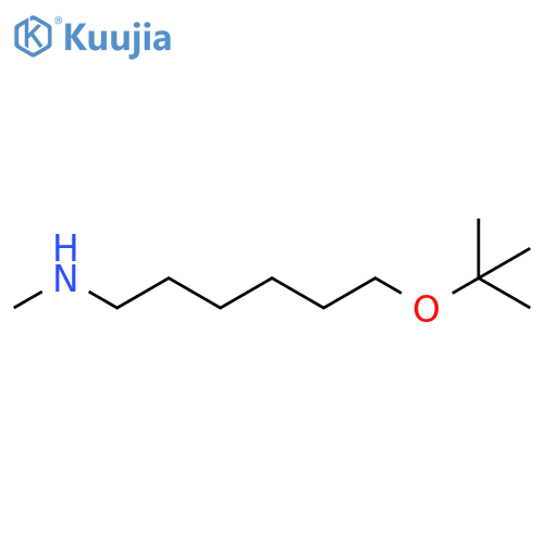 6-(tert-butoxy)hexyl(methyl)amine structure