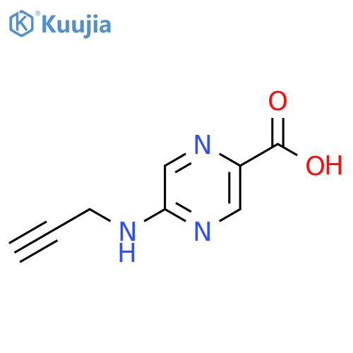 5-(prop-2-yn-1-yl)aminopyrazine-2-carboxylic acid structure