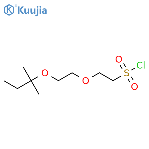 2-{2-(2-methylbutan-2-yl)oxyethoxy}ethane-1-sulfonyl chloride structure