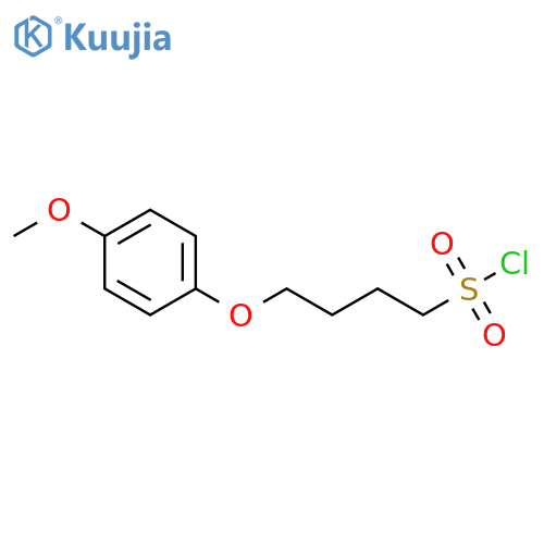 4-(4-methoxyphenoxy)butane-1-sulfonyl chloride structure