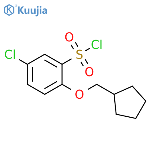 5-chloro-2-(cyclopentylmethoxy)benzene-1-sulfonyl chloride structure