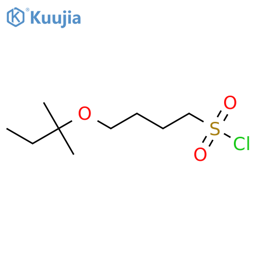 4-(2-methylbutan-2-yl)oxybutane-1-sulfonyl chloride structure