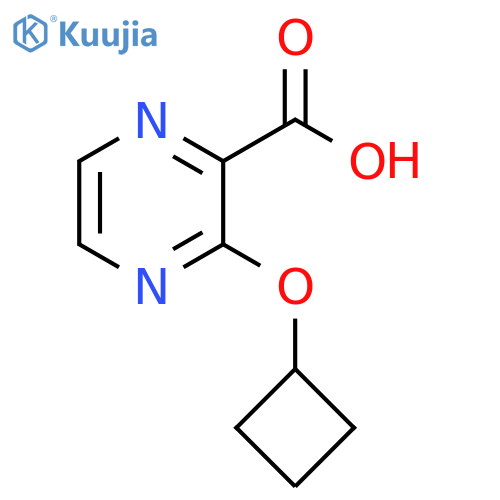 3-Cyclobutoxypyrazine-2-carboxylic acid structure