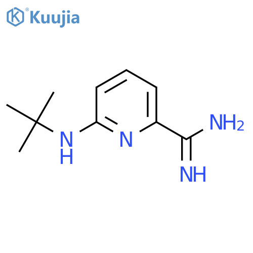 6-(tert-butylamino)pyridine-2-carboximidamide structure