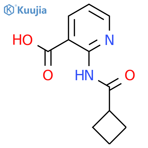 2-Cyclobutaneamidopyridine-3-carboxylic acid structure