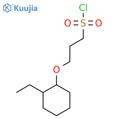 3-(2-ethylcyclohexyl)oxypropane-1-sulfonyl chloride structure