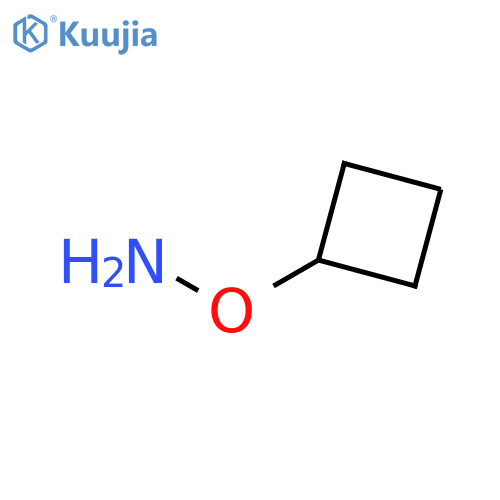 O-cyclobutylhydroxylamine structure