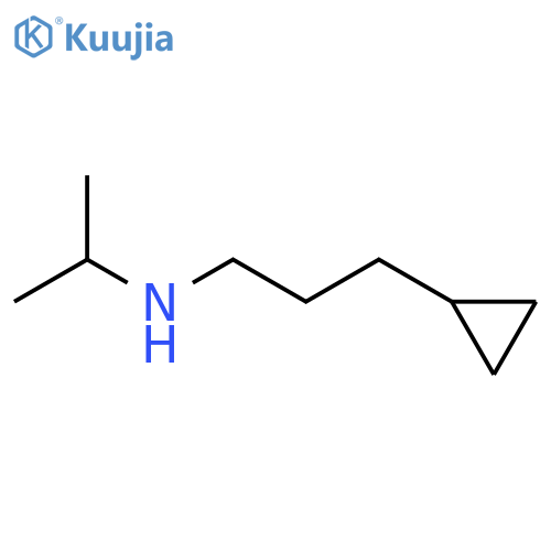(3-Cyclopropylpropyl)(propan-2-yl)amine structure