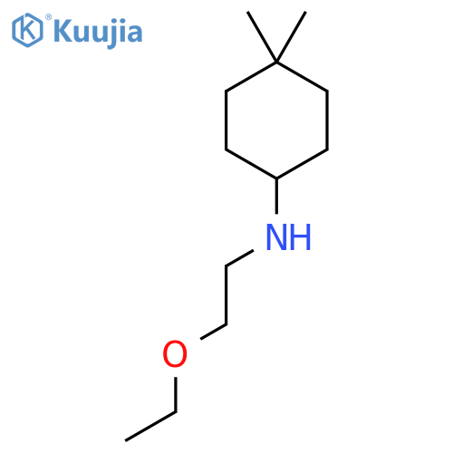 N-(2-ethoxyethyl)-4,4-dimethylcyclohexan-1-amine structure