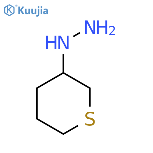 (Thian-3-yl)hydrazine structure