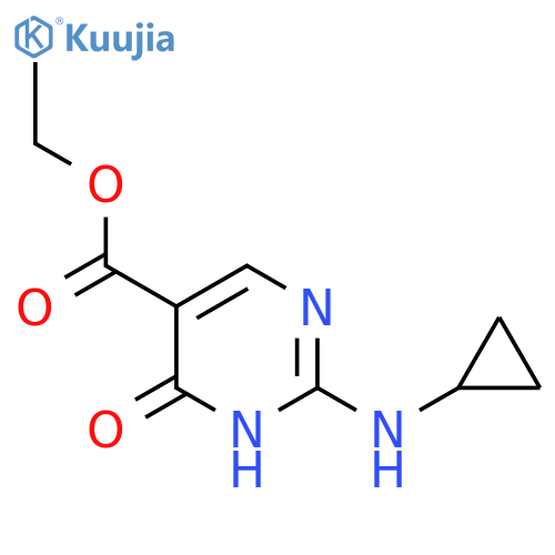 Ethyl 2-(cyclopropylamino)-4-hydroxypyrimidine-5-carboxylate structure