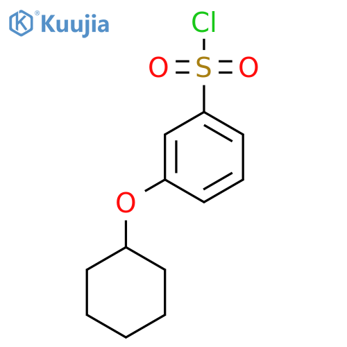 3-Cyclohexyloxybenzenesulfonyl chloride structure
