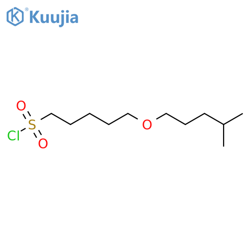5-(4-methylpentyl)oxypentane-1-sulfonyl chloride structure