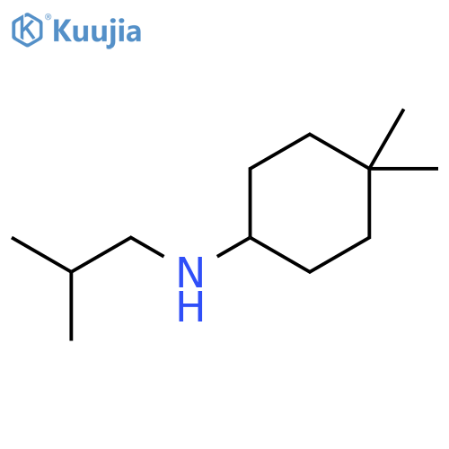 4,4-dimethyl-N-(2-methylpropyl)cyclohexan-1-amine structure
