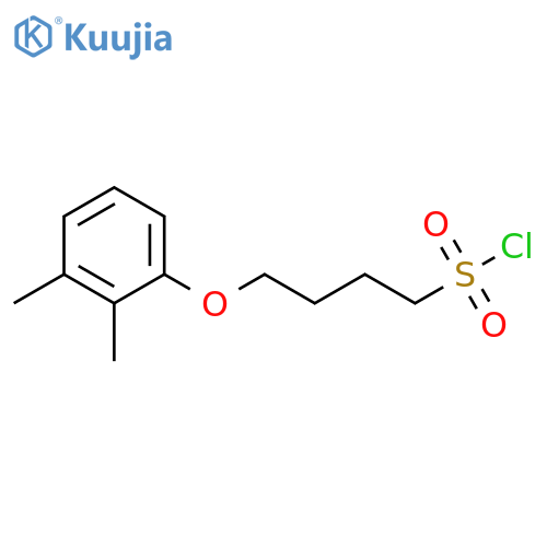 4-(2,3-dimethylphenoxy)butane-1-sulfonyl chloride structure