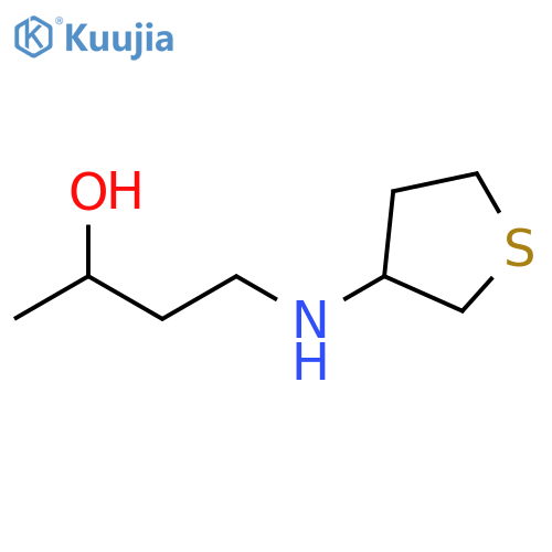 4-[(thiolan-3-yl)amino]butan-2-ol structure