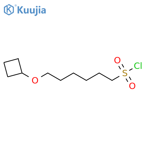6-cyclobutoxyhexane-1-sulfonyl chloride structure