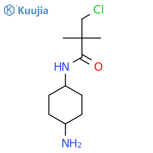 N-(4-aminocyclohexyl)-3-chloro-2,2-dimethylpropanamide structure