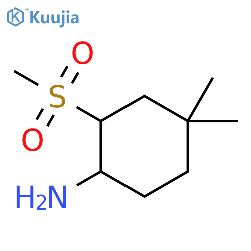 Cyclohexanamine, 4,4-dimethyl-2-(methylsulfonyl)- structure