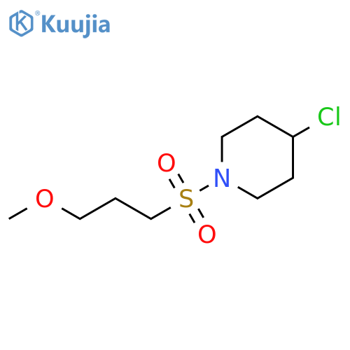 4-chloro-1-(3-methoxypropanesulfonyl)piperidine structure
