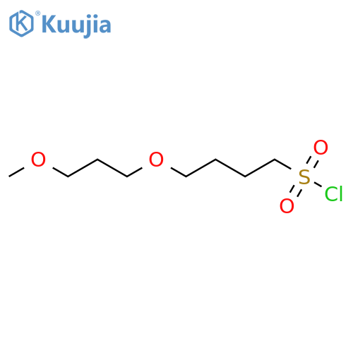 4-(3-methoxypropoxy)butane-1-sulfonyl chloride structure
