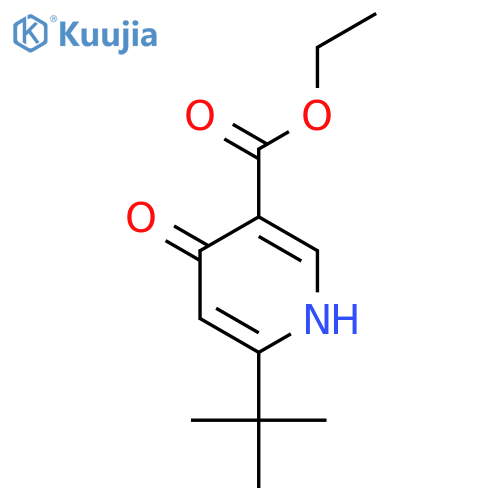 Ethyl 6-tert-Butyl-4-oxo-1,4-dihydro-pyridine-3-carboxylate structure