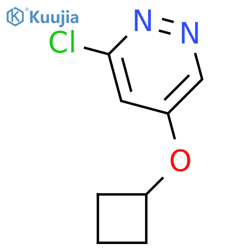 3-Chloro-5-cyclobutoxypyridazine structure