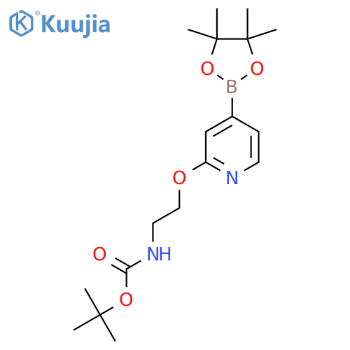 Tert-butyl (2-((4-(4,4,5,5-tetramethyl-1,3,2-dioxaborolan-2-yl)pyridin-2-yl)oxy)ethyl)carbamate structure