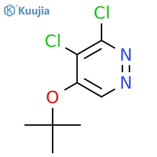 5-(tert-Butoxy)-3,4-dichloropyridazine structure