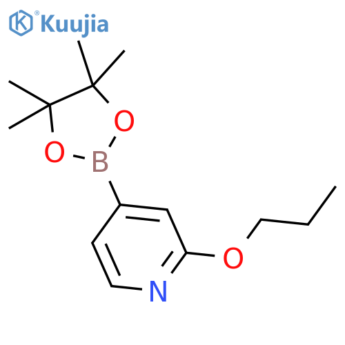2-Propoxy-4-(4,4,5,5-tetramethyl-1,3,2-dioxaborolan-2-yl)pyridine structure