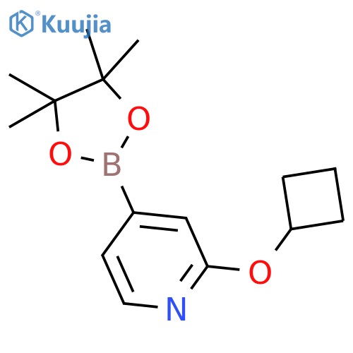 2-Cyclobutoxy-4-(4,4,5,5-tetramethyl-1,3,2-dioxaborolan-2-yl)pyridine structure
