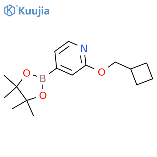 2-(Cyclobutylmethoxy)-4-(4,4,5,5-tetramethyl-1,3,2-dioxaborolan-2-yl)pyridine structure