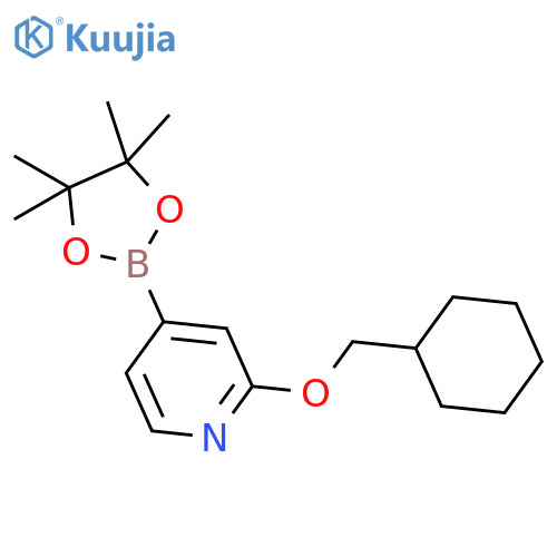 2-(Cyclohexylmethoxy)-4-(4,4,5,5-tetramethyl-1,3,2-dioxaborolan-2-yl)pyridine structure