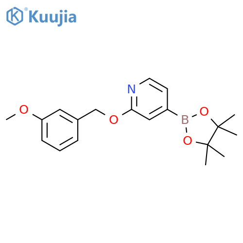 2-((3-Methoxybenzyl)oxy)-4-(4,4,5,5-tetramethyl-1,3,2-dioxaborolan-2-yl)pyridine structure