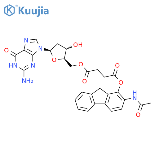 Guanosine, 2'-deoxy-, 5'-[2-(acetylamino)-9H-fluoren-1-yl butanedioate] (9CI) structure