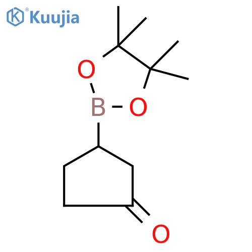 3-(4,4,5,5-tetramethyl-1,3,2-dioxaborolan-2-yl)cyclopentanone structure