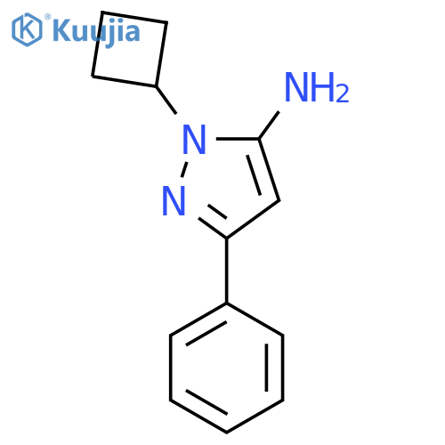 1-Cyclobutyl-3-phenyl-1H-pyrazol-5-amine structure