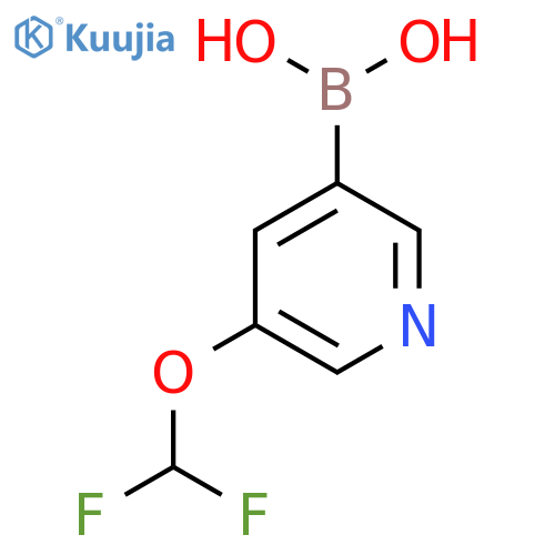 5-(difluoromethoxy)pyridin-3-ylboronic acid structure