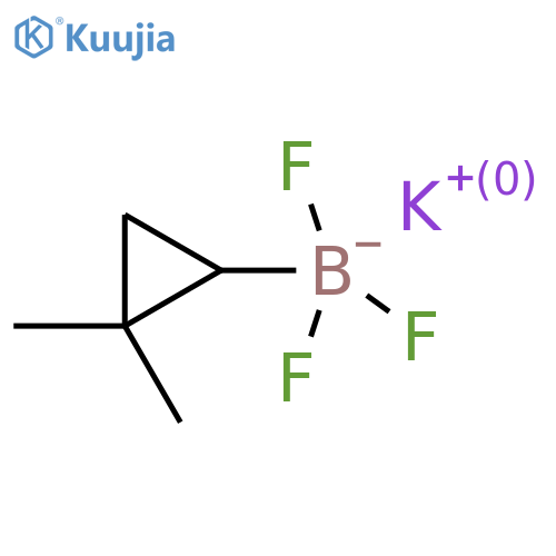 Potassium (2,2-dimethyl-cyclopropyl)-trifluoroborate structure