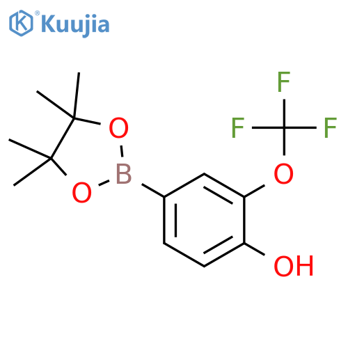 4-(4,4,5,5-tetramethyl-1,3,2-dioxaborolan-2-yl)-2-(trifluoromethoxy)phenol structure