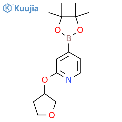 2-(Tetrahydrofuran-3-yloxy)pyridine-4-boronic acid pinacol ester structure