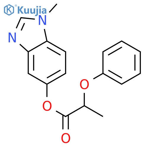 1-methyl-1H-1,3-benzodiazol-5-yl 2-phenoxypropanoate structure