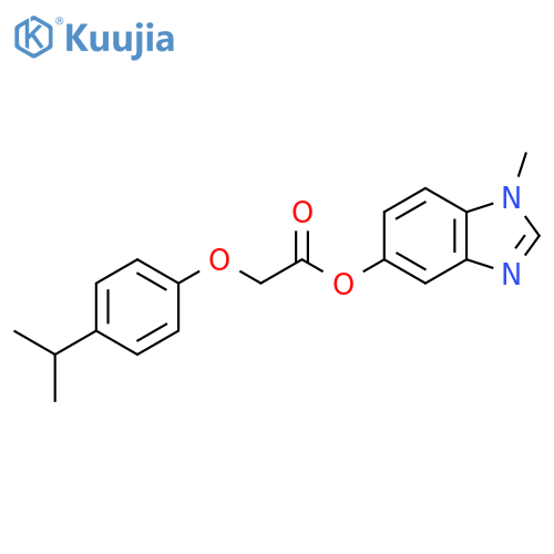 1-methyl-1H-1,3-benzodiazol-5-yl 2-4-(propan-2-yl)phenoxyacetate structure